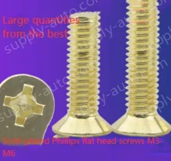 Golden Flat Head Screws M6*140