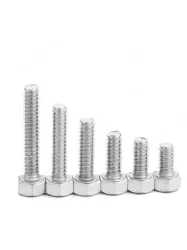Hexagon socket head bolts1/4-20*1