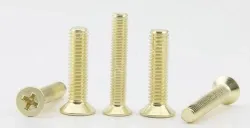 Golden Flat Head Screws M3*22